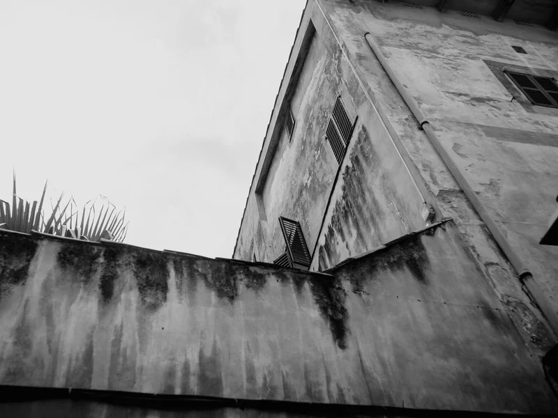 A black and white photo of a weathered building with shuttered windows and a rooftop with palm leaves.