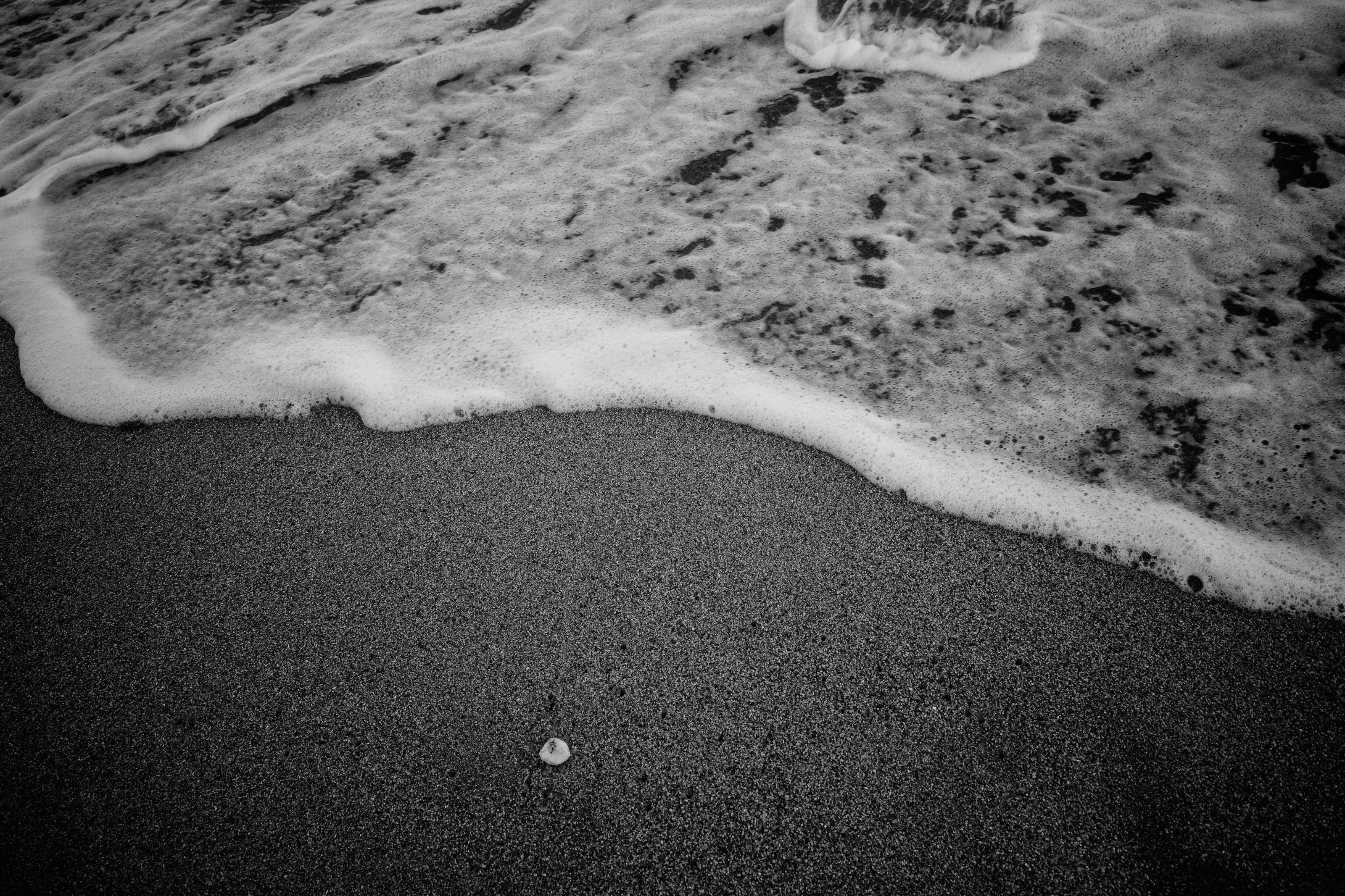 Foamy waves reaching a sandy beach with a small shell visible on the sand.