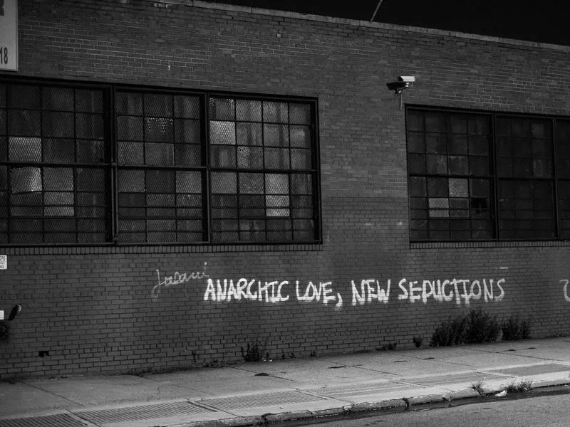 Graffiti on a brick wall with barred windows reading 'Anarchic Love, New Sepuctions.'