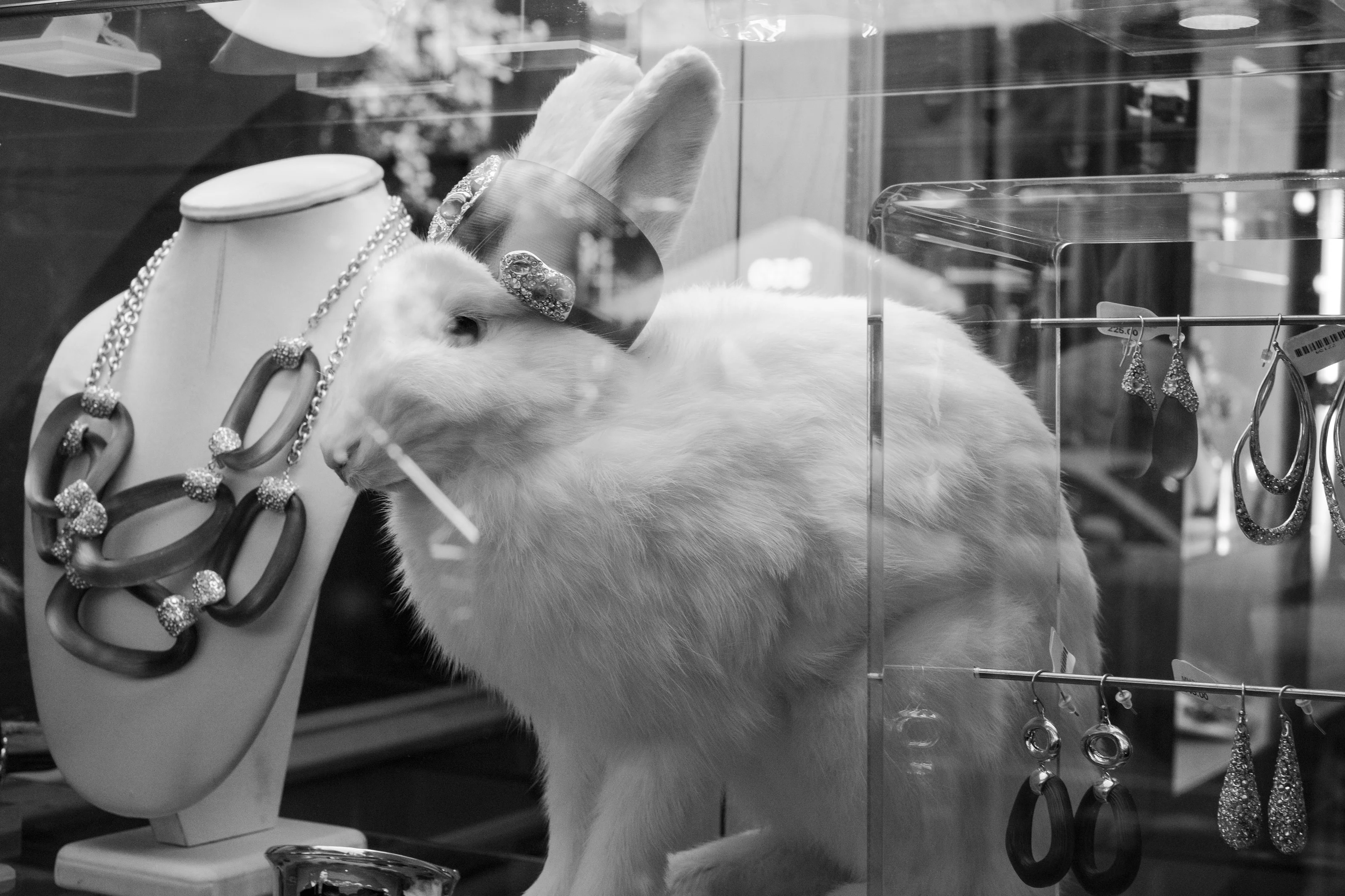 A display case with a white rabbit adorned with jewelry, surrounded by necklaces and earrings.