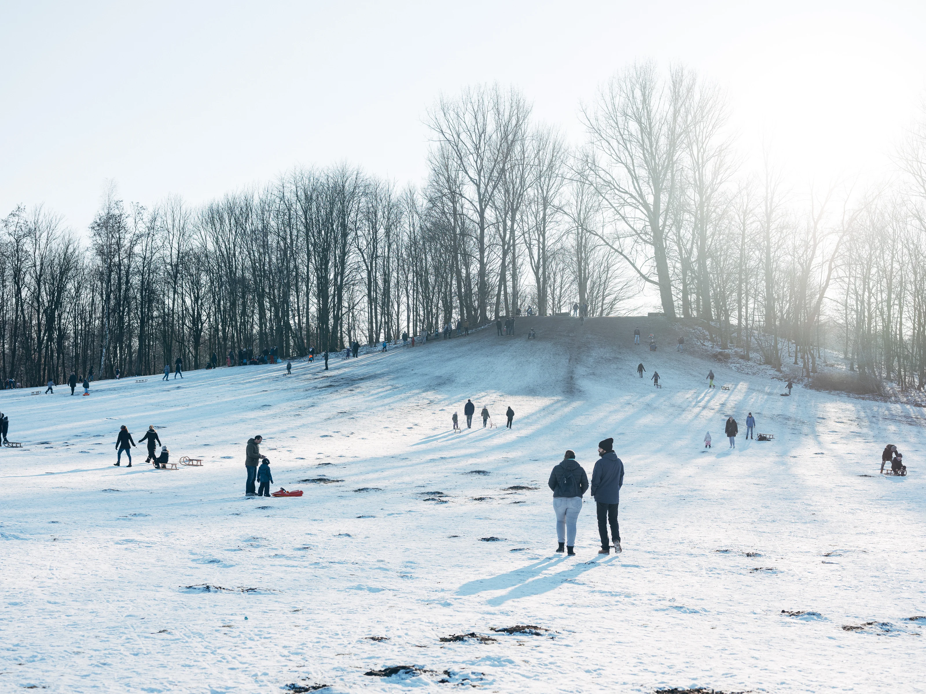 People enjoying a snowy hillside under a clear sky with bare trees in the background.