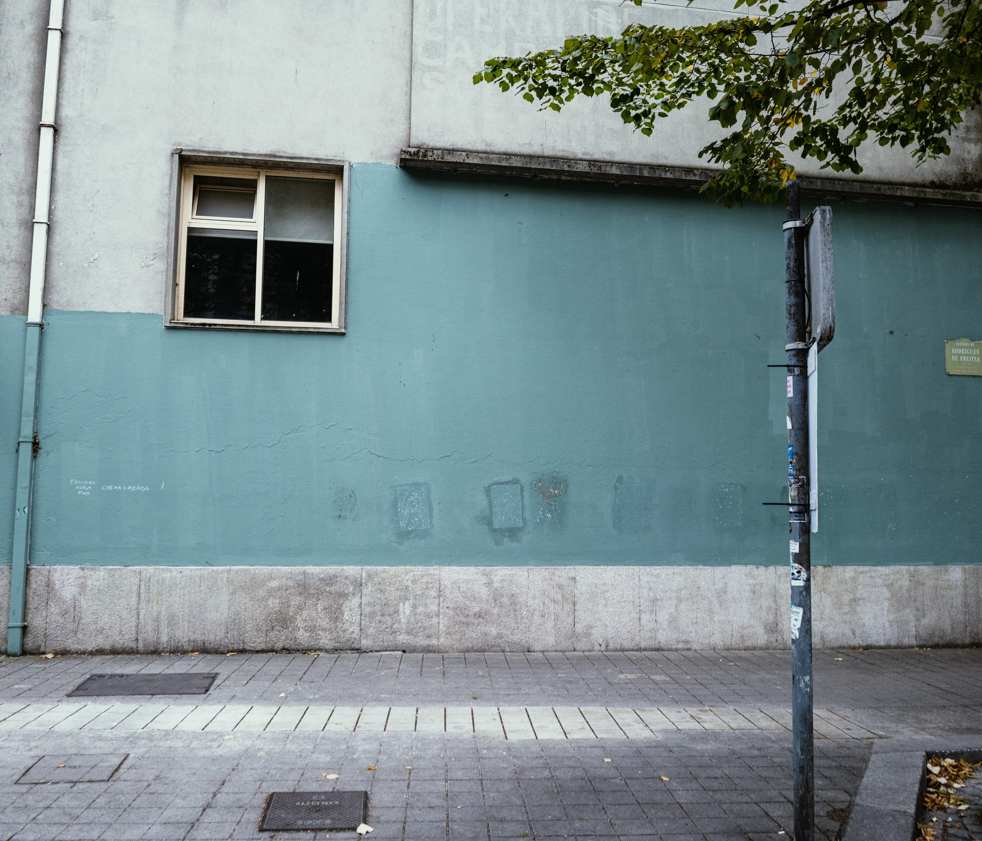 A blue-grey urban wall with a window, a pole, and some branches.