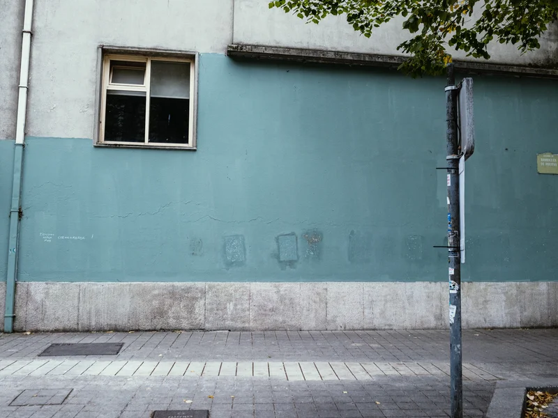 A blue-grey urban wall with a window, a pole, and some branches.