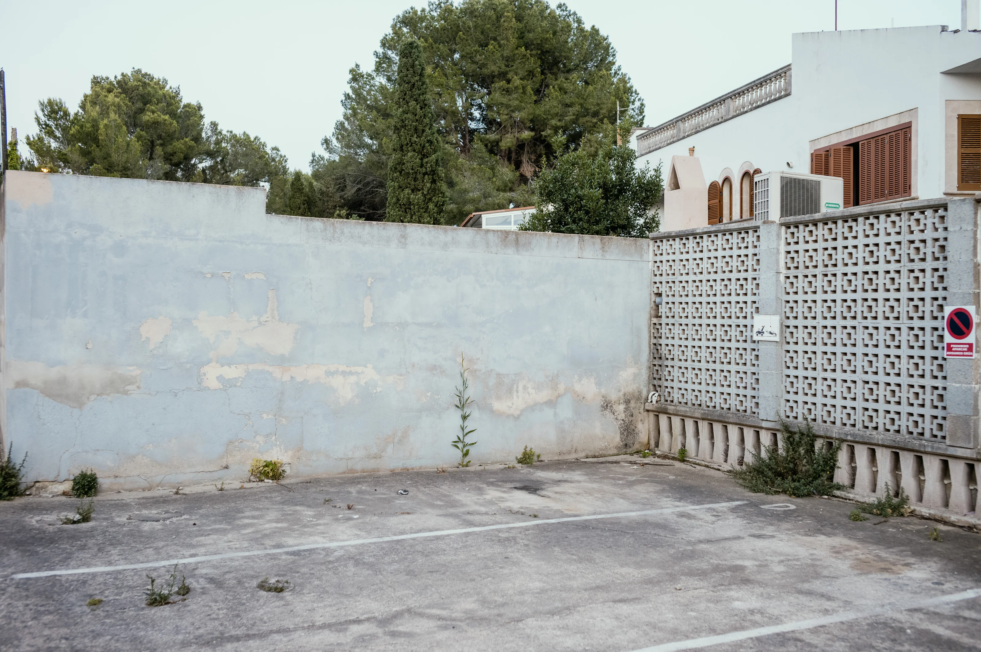 Empty parking space with a faded blue wall and vegetation.