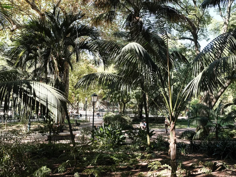 A lush green park with tall palm trees and people walking on a sunlit path.