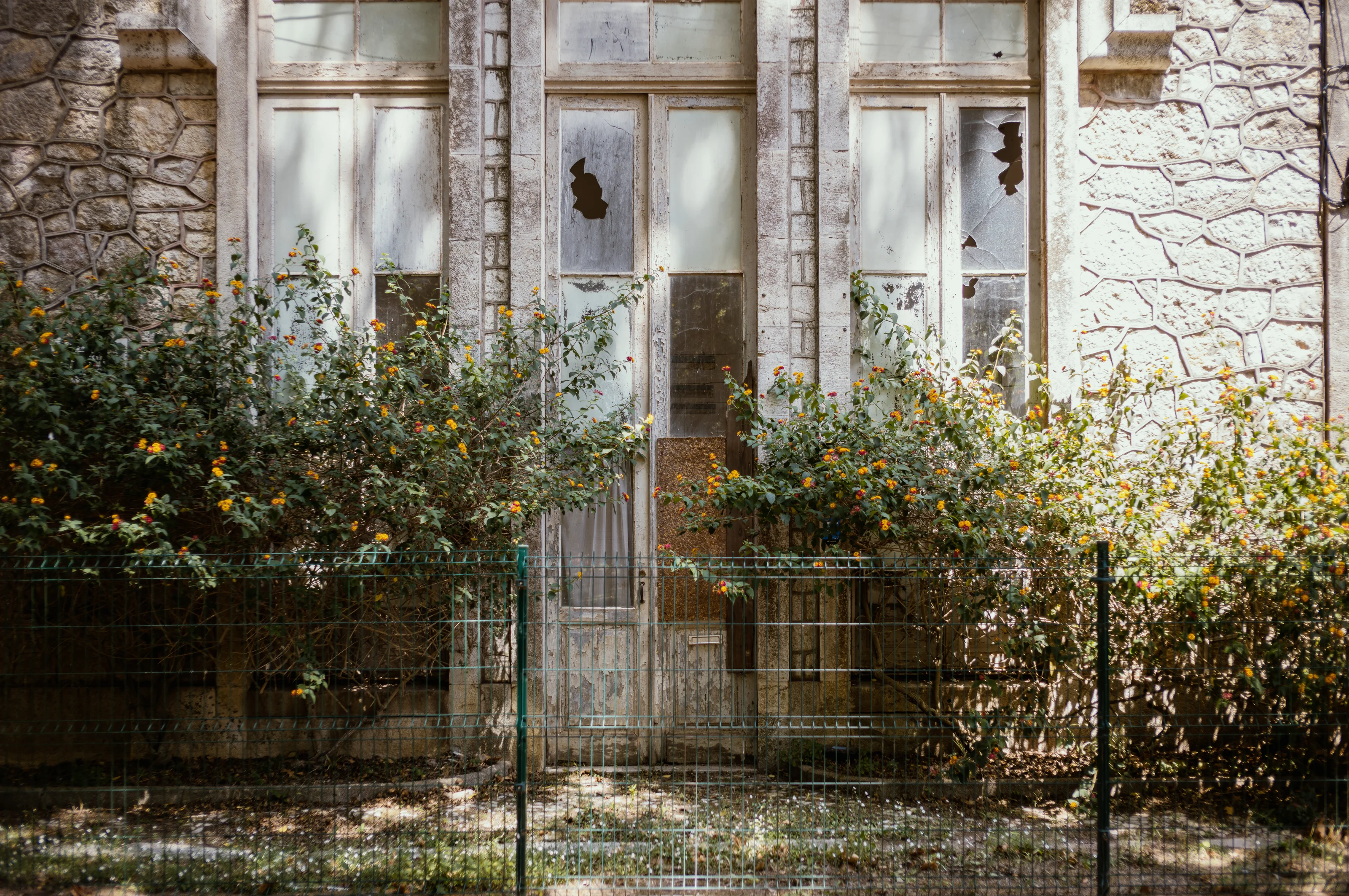 Weathered stone building facade with broken windows and overgrown plants.