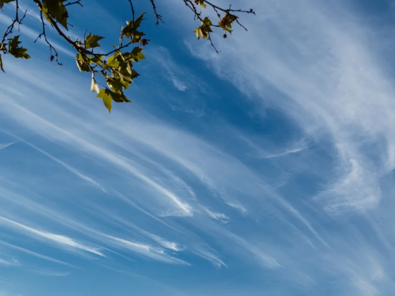Blue sky with wispy clouds and tree branches framing the top.