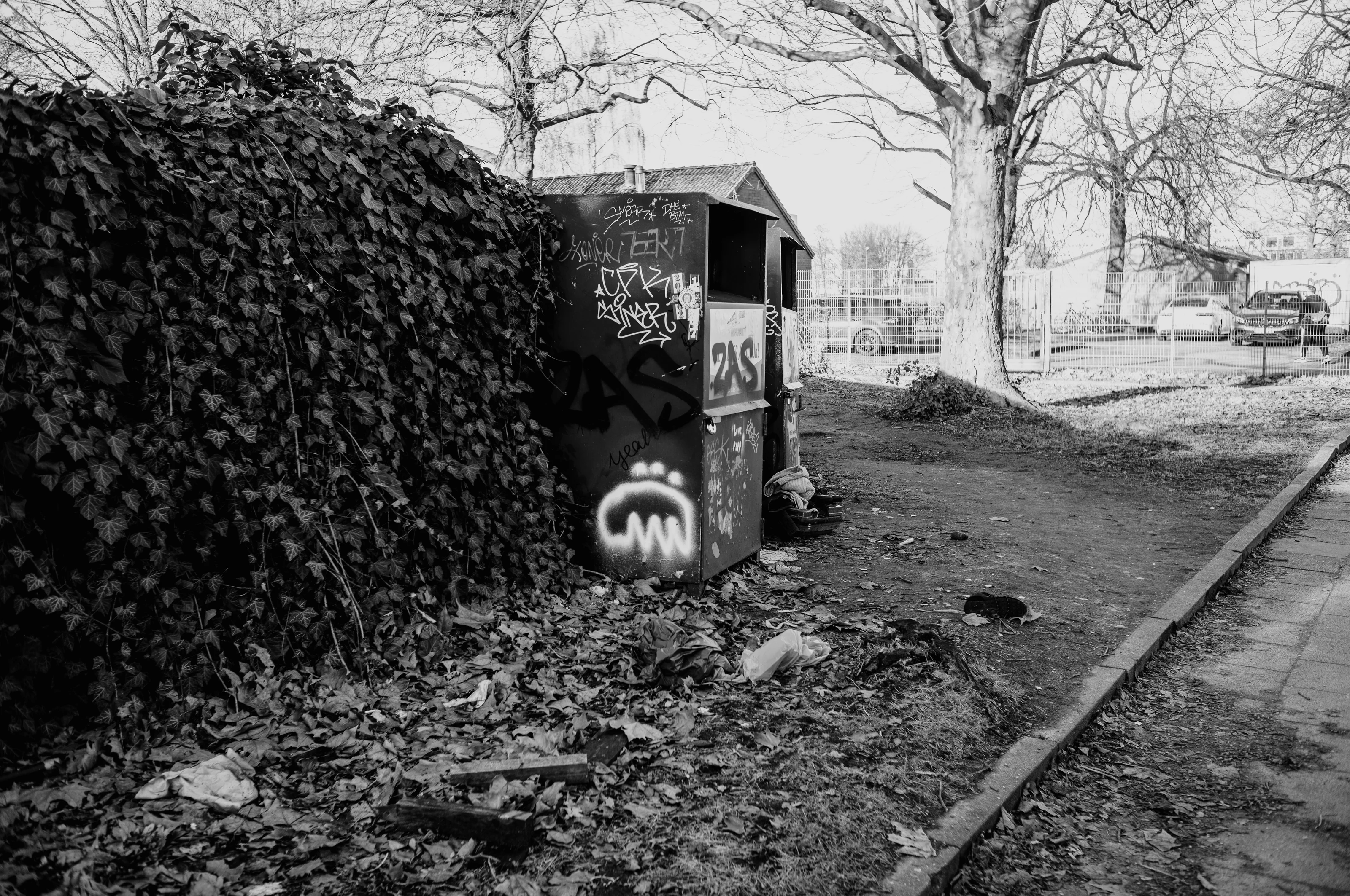 A graffiti-covered shed beside a path with overgrown plants and trees in a park setting.