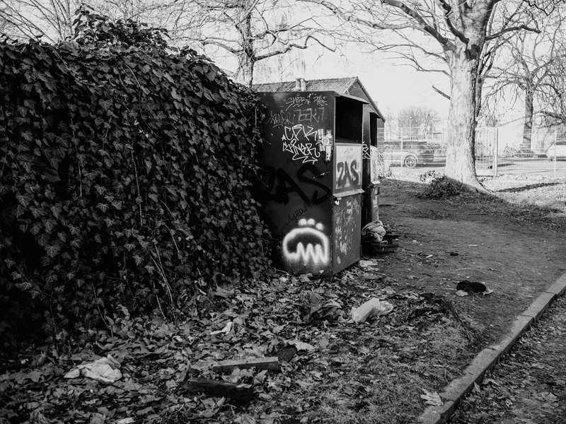 A graffiti-covered shed beside a path with overgrown plants and trees in a park setting.