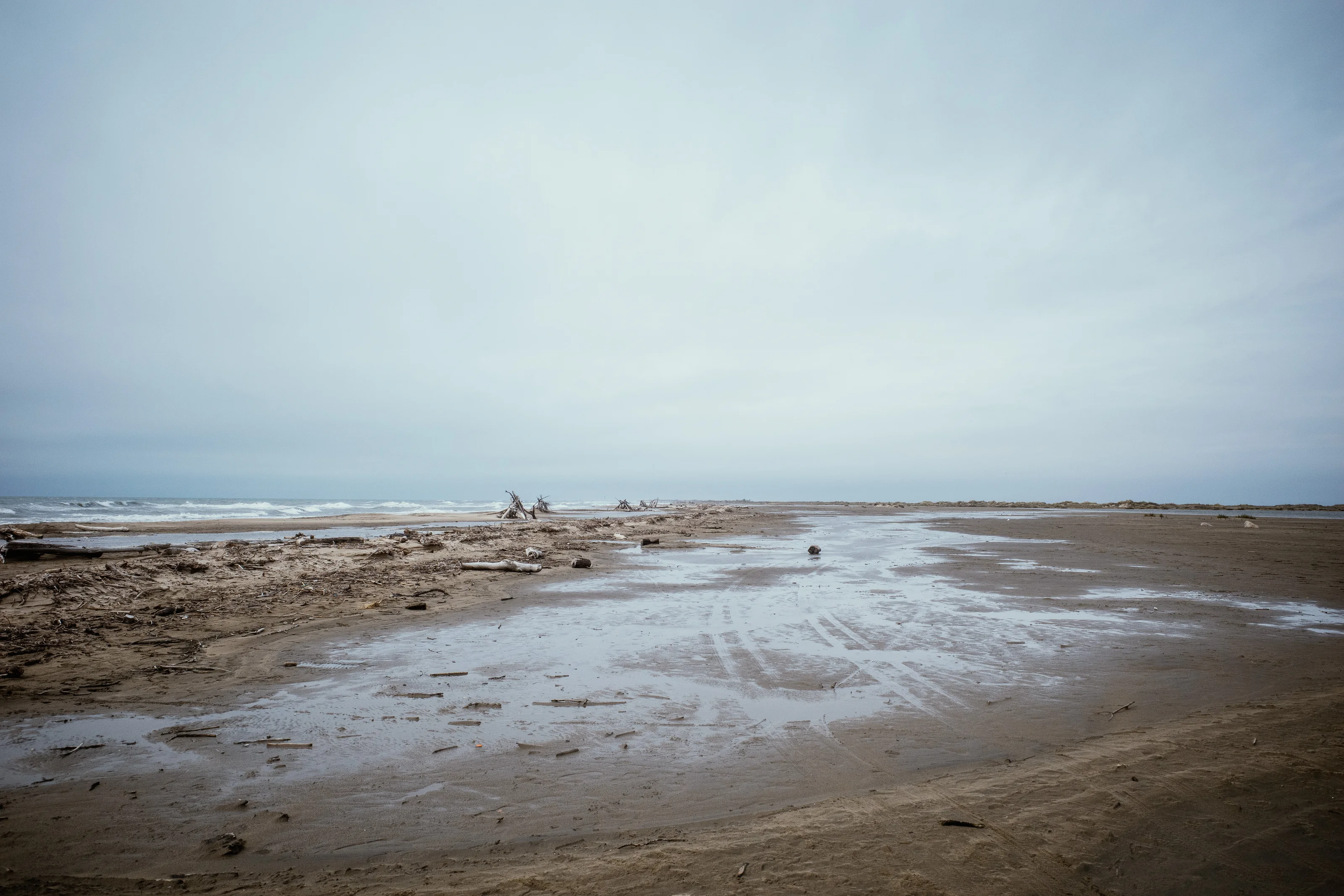A deserted, wet sandy beach with driftwood scattered along the shoreline under a cloudy sky.