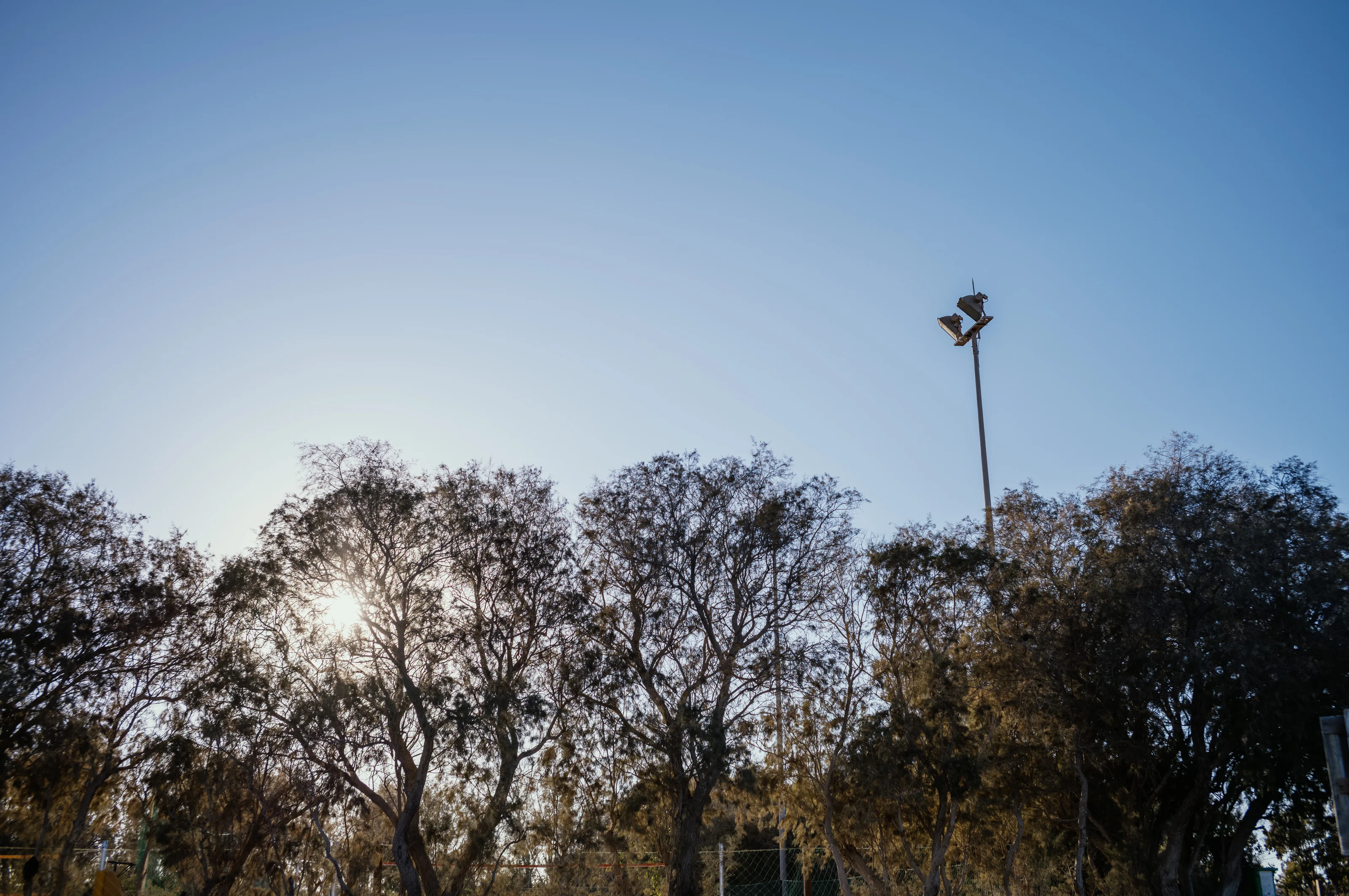 Trees silhouetted against a bright sky with the sun peeking through and a tall light pole on the right.