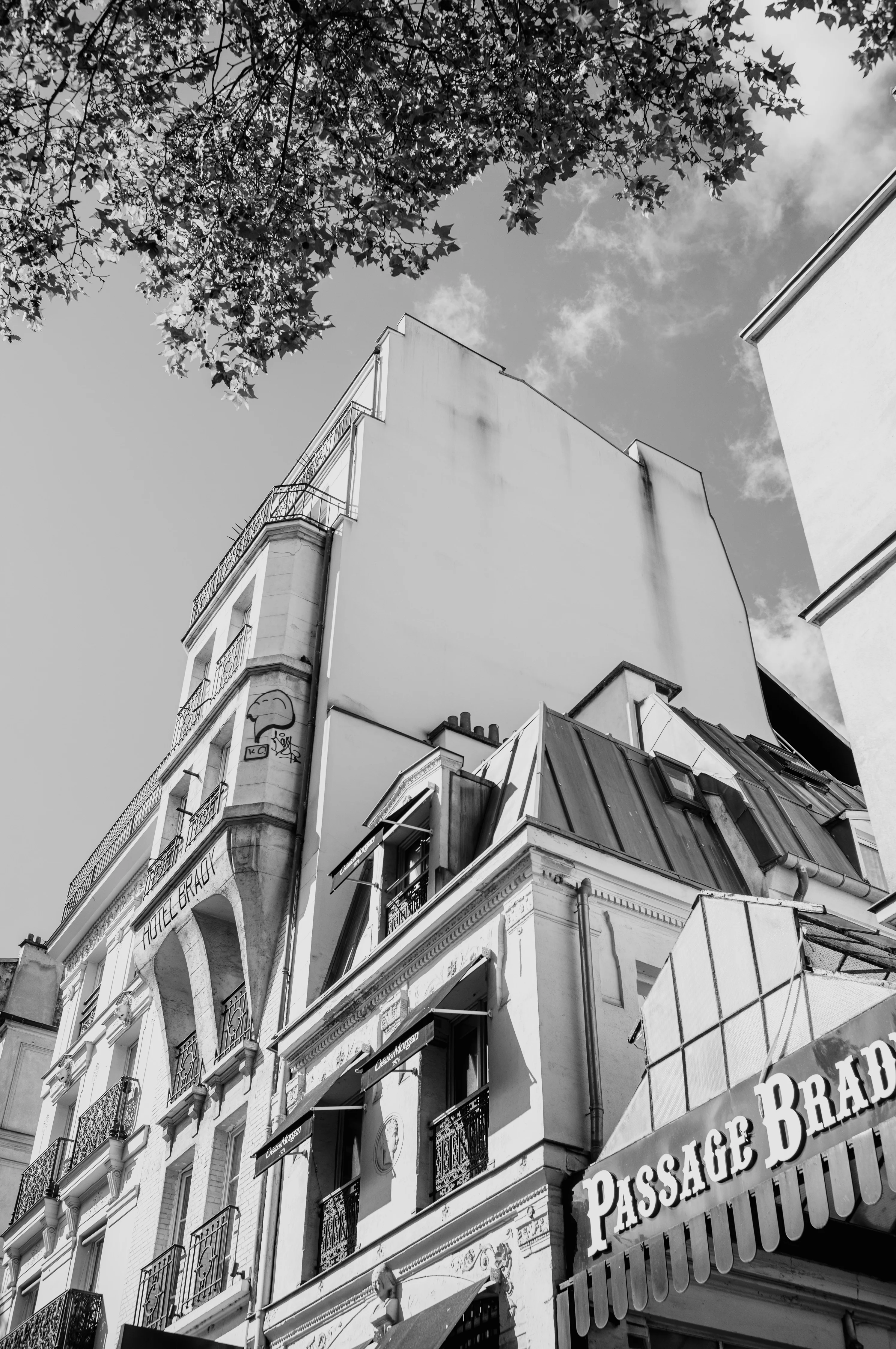A black and white view of a Parisian building with balconies and decorative details under a partly cloudy sky and tree branches.